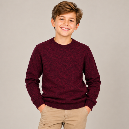 Boys' Heathered Crewneck Sweater in Multicolor