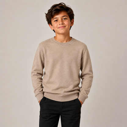 Boys Classic Pullover Crewneck Sweater in Multicolor