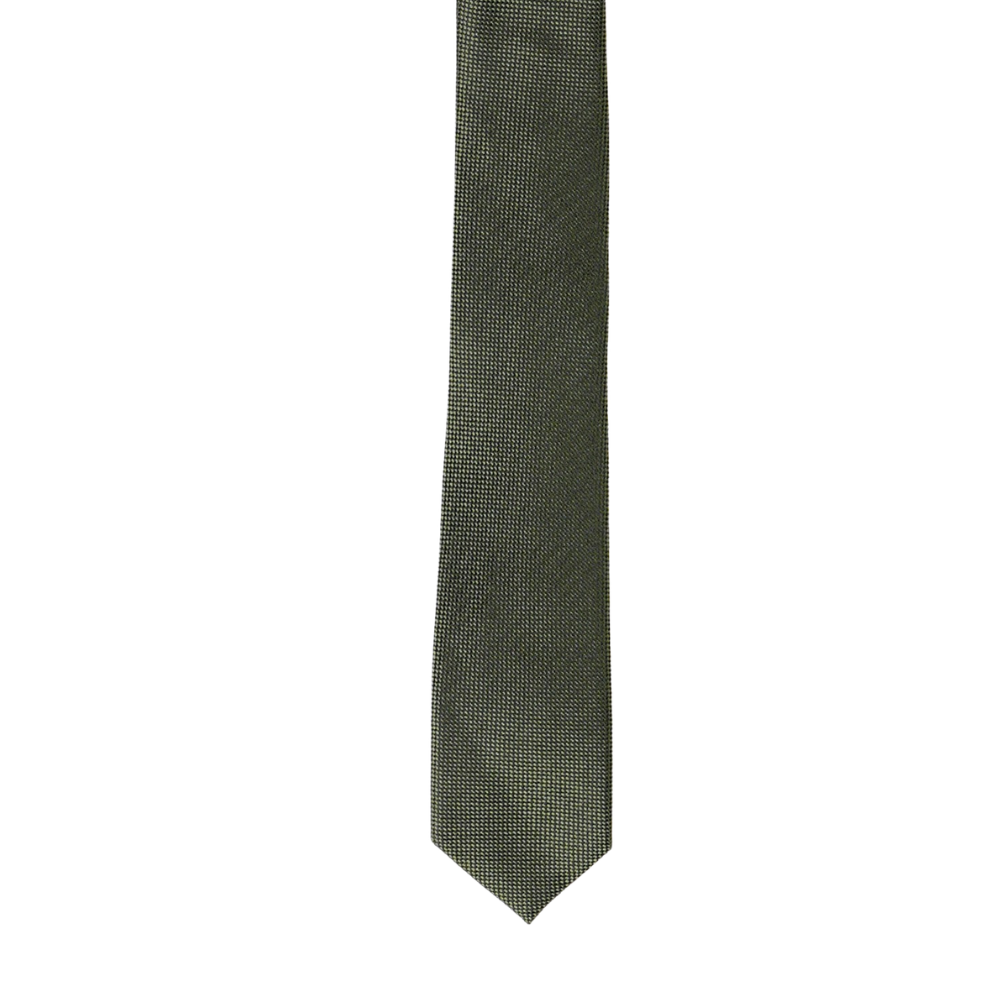 Boy's Silk Textured  hunter green ColorTie