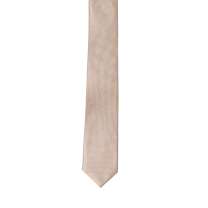 Boy's Silk Textured  beige ColorTie