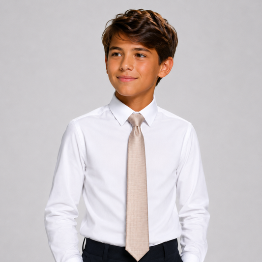 Boy's Silk Textured  beige ColorTie