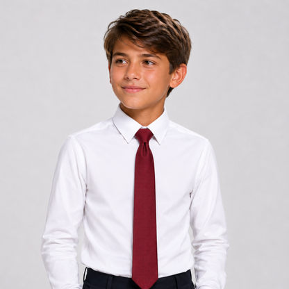 Boy's Silk Textured  Wine ColorTie