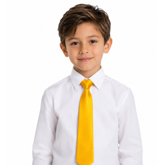 Boys' Solid Gold Satin Necktie