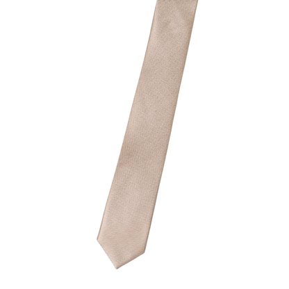 Boy's Silk Textured  beige ColorTie