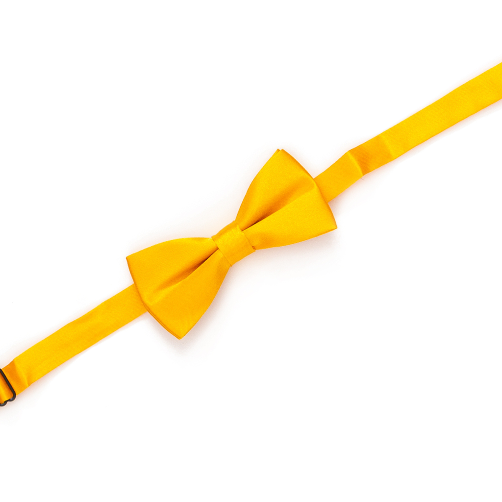 Boys' Solid Gold Adjustable Bow Tie