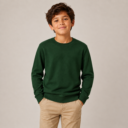 Boys Classic Pullover Crewneck Sweater in Multicolor